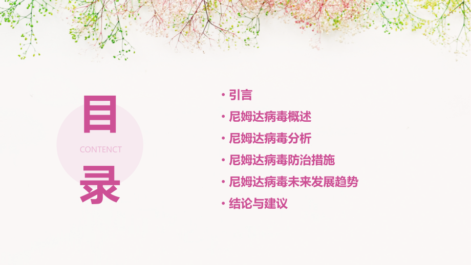 尼姆达病毒分析报告.pptx_第2页
