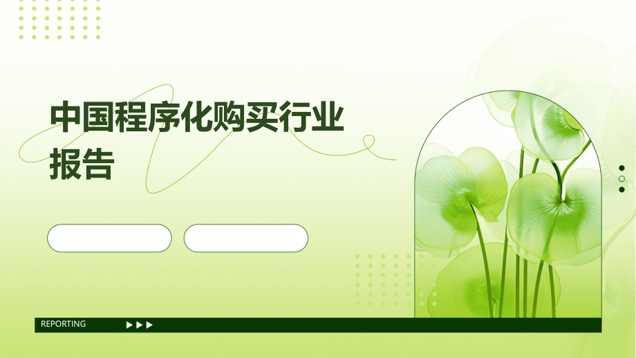 中国程序化购买行业报告.pptx_第1页