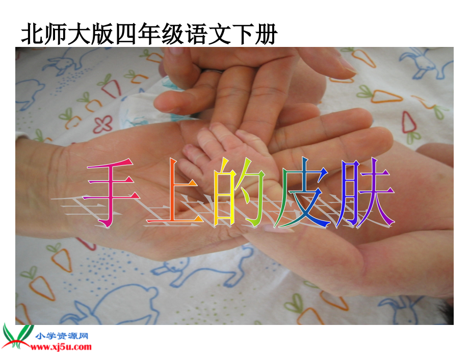 北师大版四年级语文下册《手上的皮肤2》PPT课件.ppt_第1页