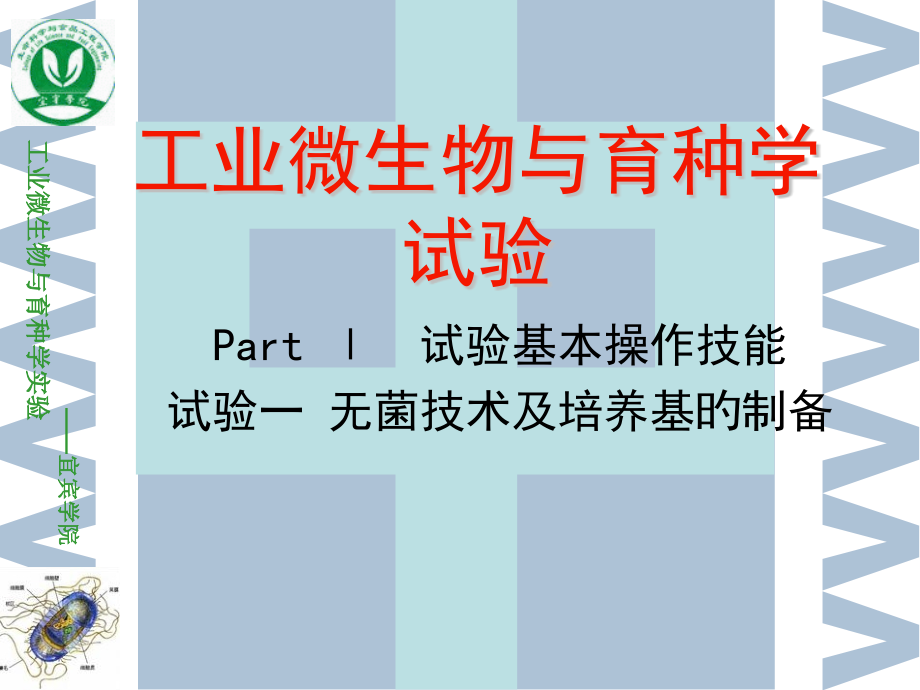 无菌技术和培养基的配制.pptx_第1页
