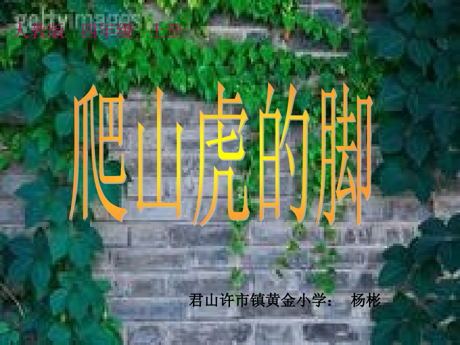 《爬山虎的脚》演示文稿.ppt_第1页
