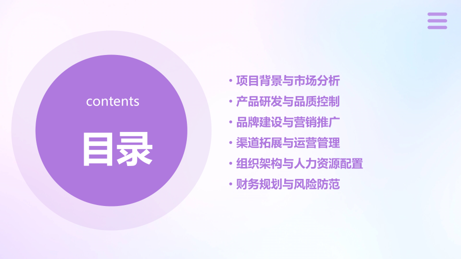 襄阳牛肉面项目计划书.pptx_第2页