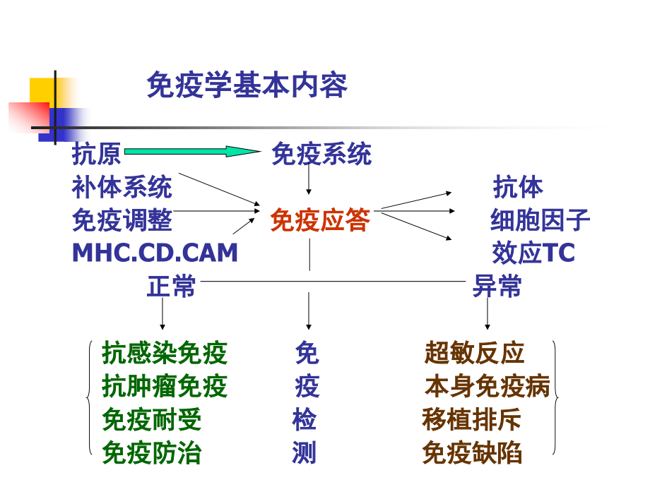 淋巴细胞专题知识讲座.pptx_第2页