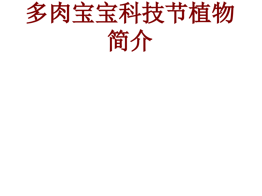 多肉宝宝科技节植物介绍.pptx_第1页