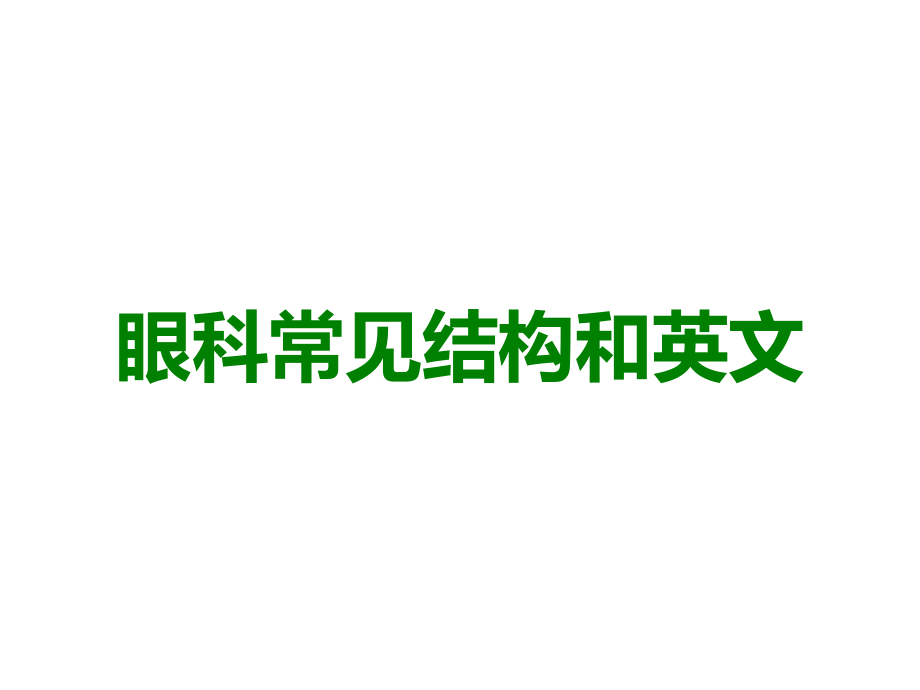 眼科常见结构和英文.ppt_第1页