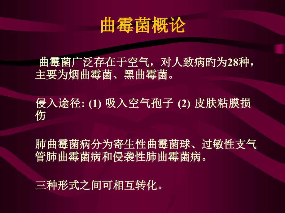 新版侵袭性肺曲霉菌病.ppt_第2页