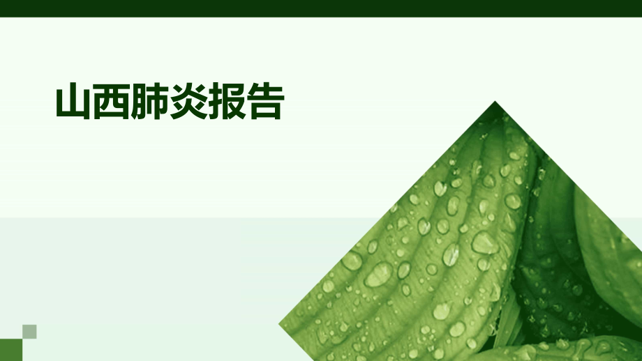 山西肺炎报告.pptx_第1页