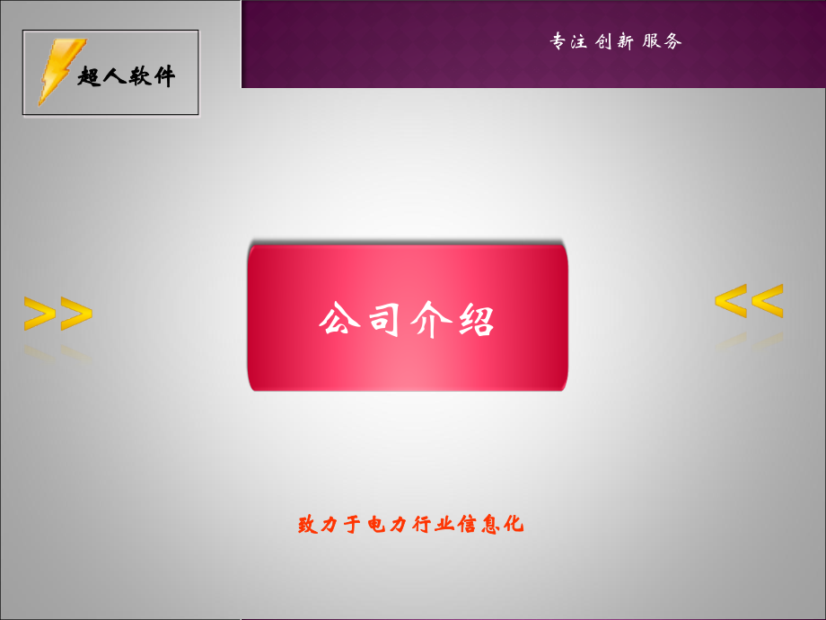 配网线路设计软件(演示介绍).ppt_第2页