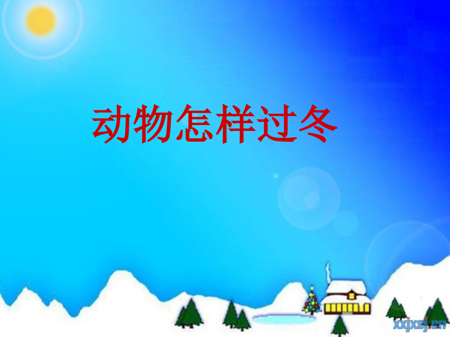 三年级科学动物怎样过冬.ppt_第1页