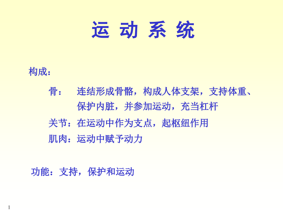 系统解剖学运动系统.pptx_第1页