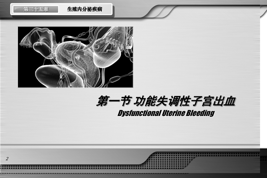 女性生殖内分泌疾病知识大全.ppt_第2页