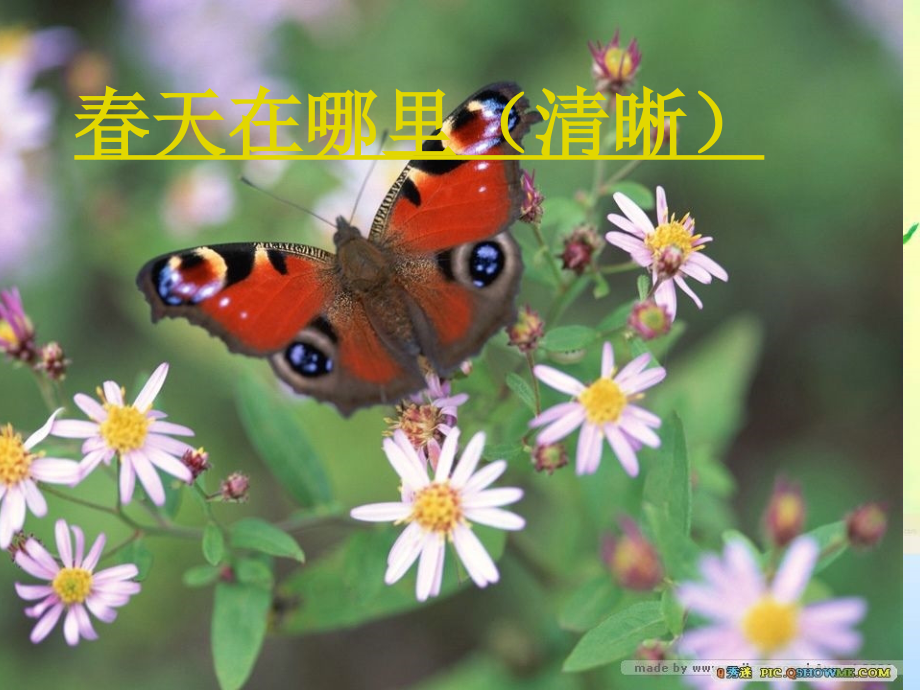 _17触摸春天.ppt_第2页