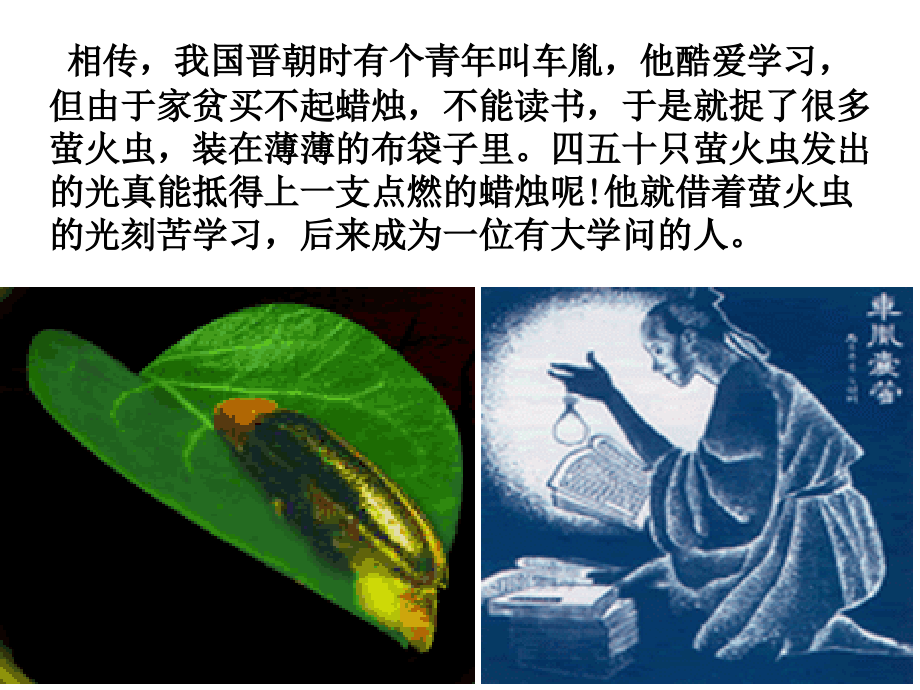细胞的能量“通货”—ATP.ppt_第2页