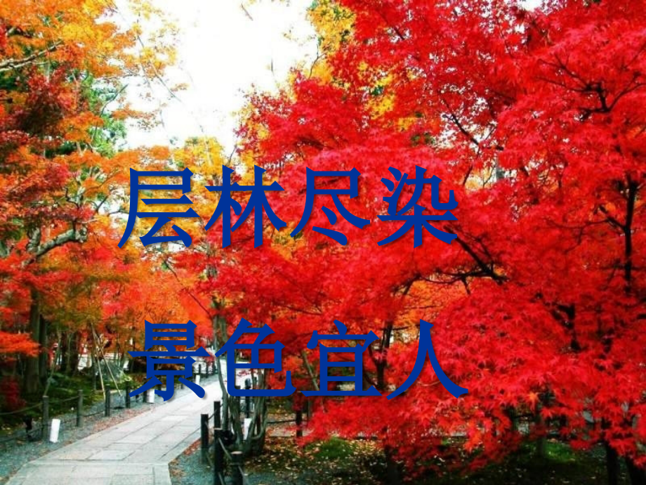 二年级上册语文识字一.ppt_第2页