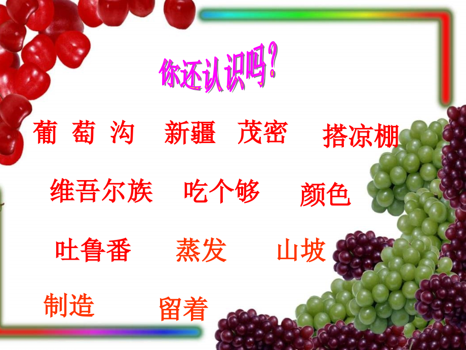 人教版二年级语文下册《葡萄沟3》PPT课件.ppt_第2页