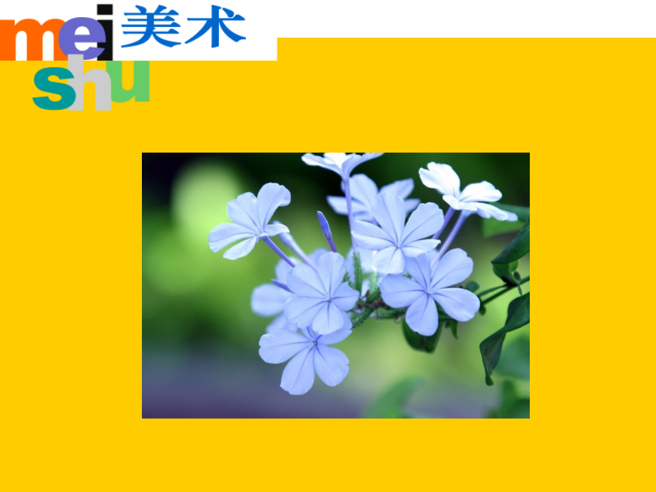 苏少版六年级美术上册课件PPT爸爸妈妈.ppt_第1页