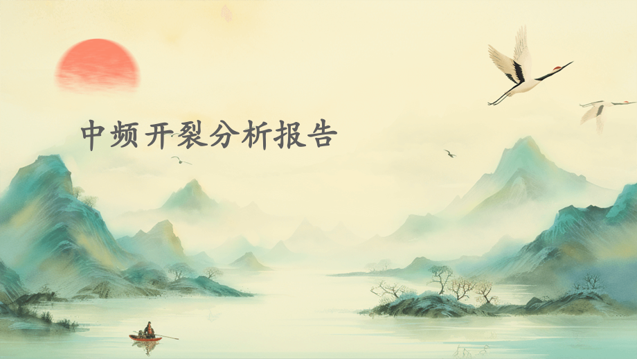 中频开裂分析报告.pptx_第1页