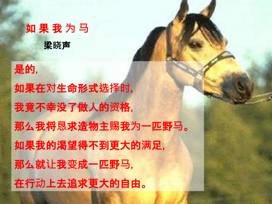 人教新课标版初中七下《马》课件.ppt_第2页