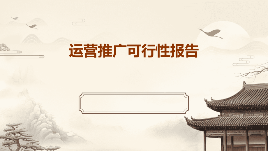 运营推广可行性报告.pptx_第1页