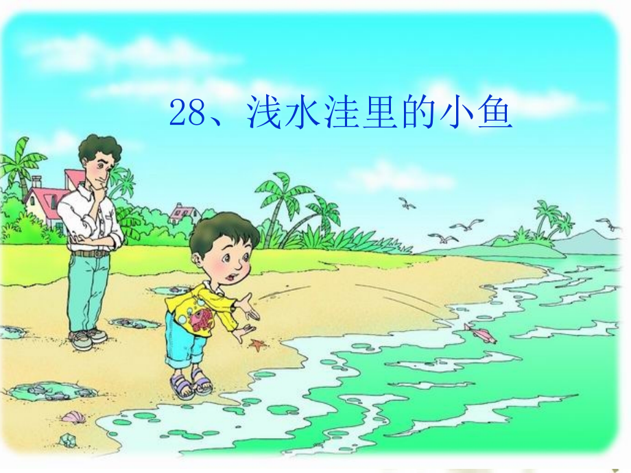 浅水洼的小鱼课件.ppt_第1页
