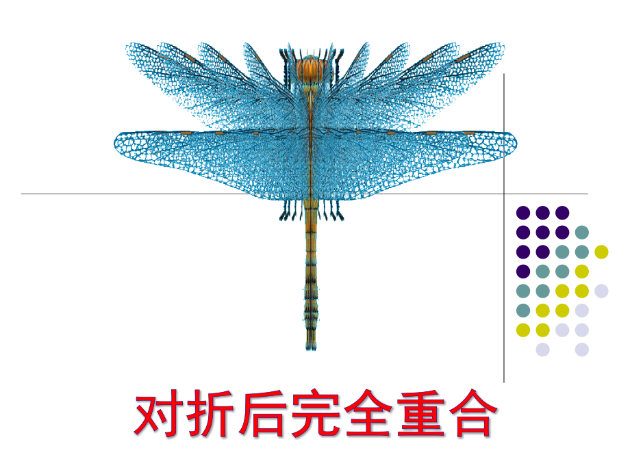 对称现象.ppt_第2页