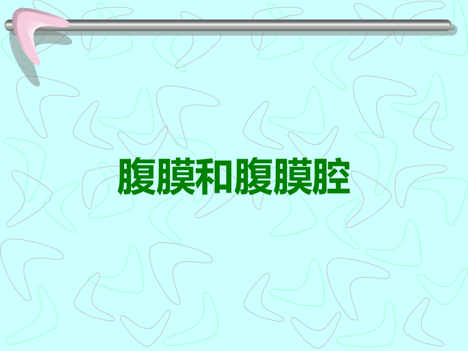 腹膜和腹膜腔.ppt_第1页