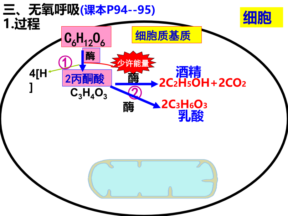 无氧呼吸改专题知识讲座.pptx_第2页
