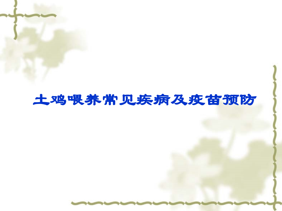 土鸡饲养常见疾病和疫苗预防.pptx_第1页
