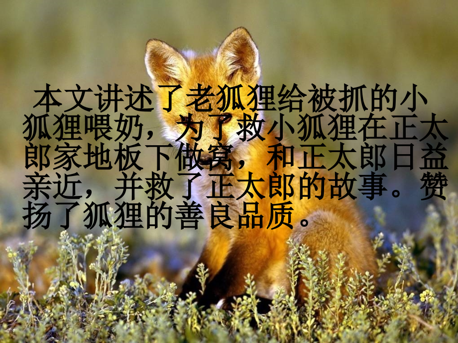 金色的脚印 (4).ppt_第2页
