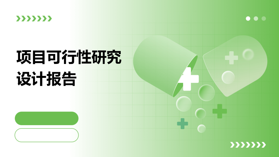 项目可行性研究设计报告.pptx_第1页