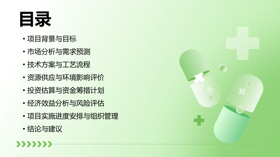 项目可行性研究设计报告.pptx_第2页