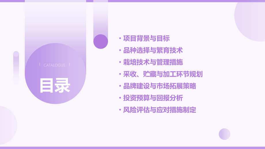 苹果种植计划书.pptx_第2页