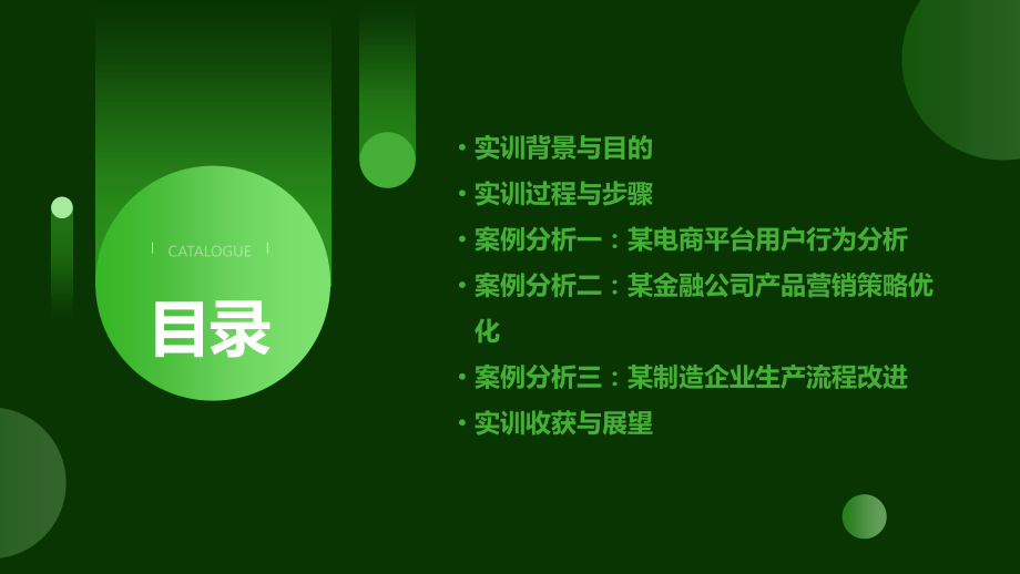 实训报告案例分析.pptx_第2页