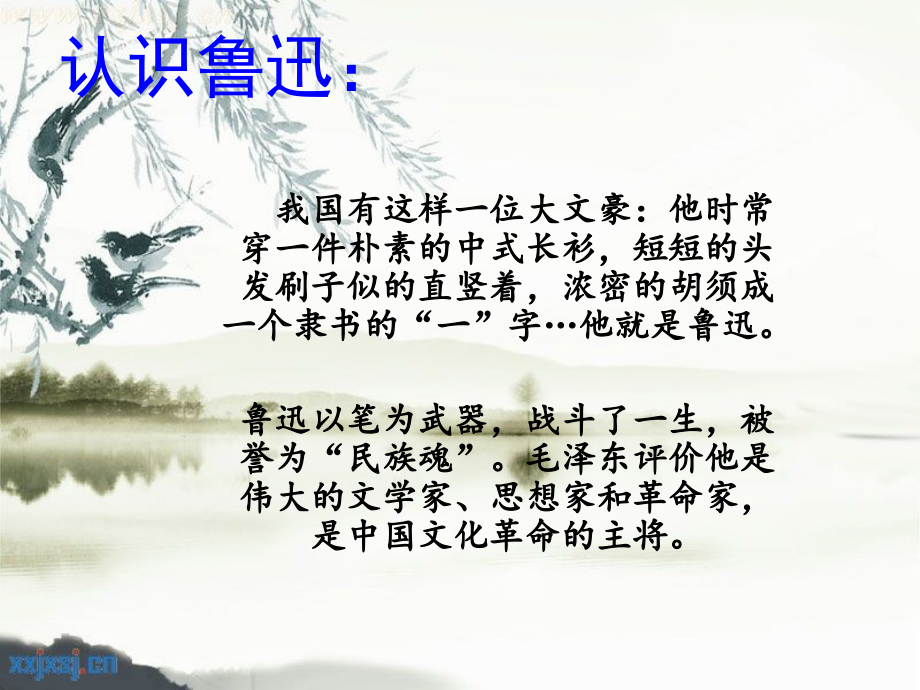 六年级上册17课《少年闰土》.ppt_第2页