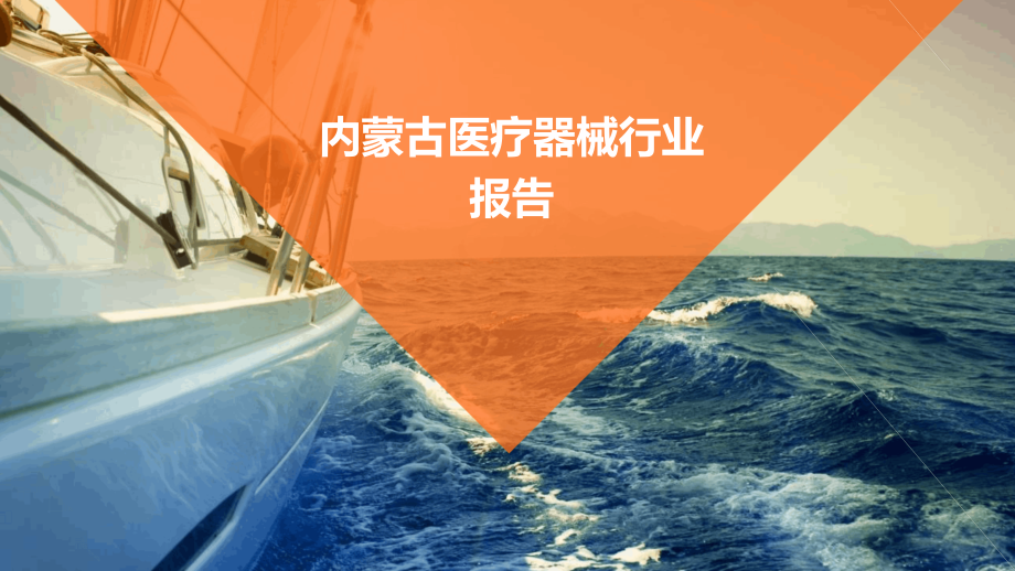 内蒙古医疗器械行业报告.pptx_第1页