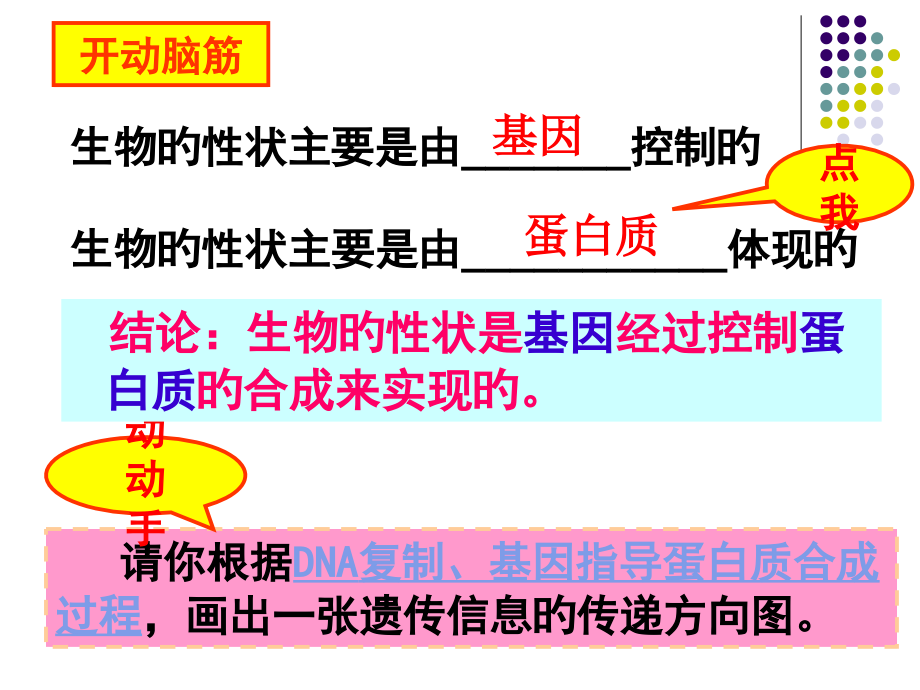 基因蛋白质与性状的关系.ppt_第2页