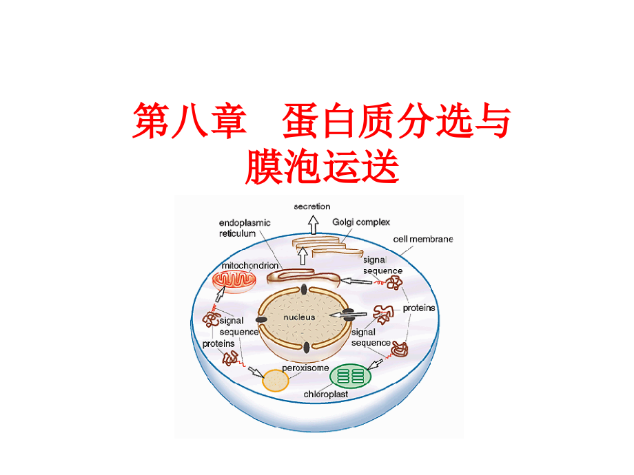 蛋白质分选与膜泡运输.pptx_第1页