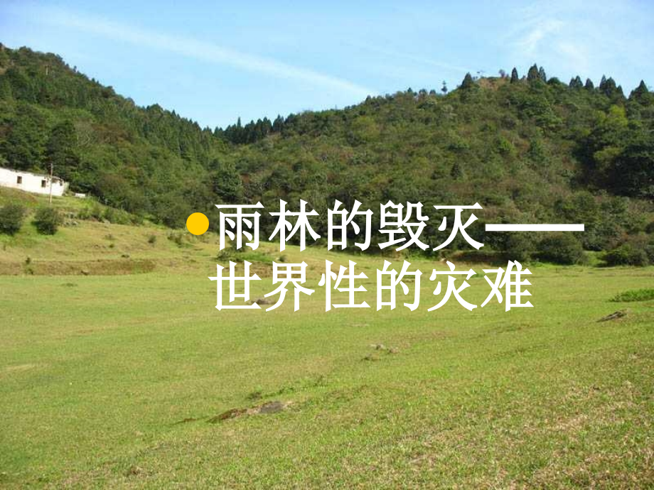 雨林的毁灭——世界性的灾难1.ppt_第1页