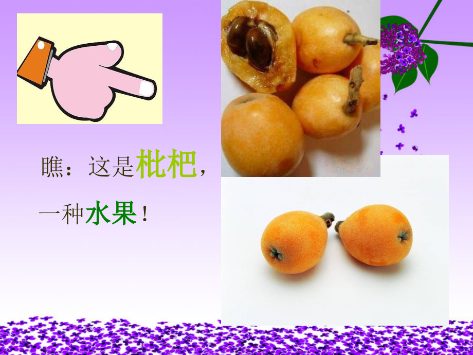 识字三_枇杷和琵琶课件.ppt_第2页