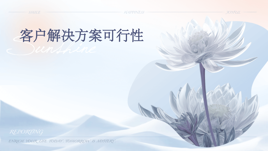 客户解决方案可行性.pptx_第1页