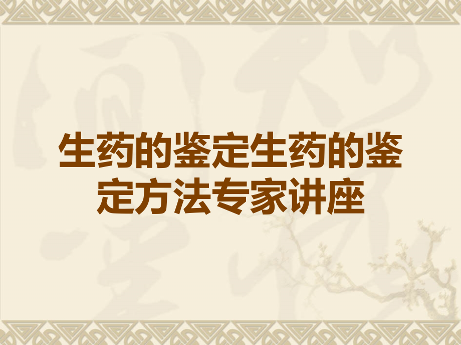 生药的鉴定生药的鉴定方法专家讲座.ppt_第1页