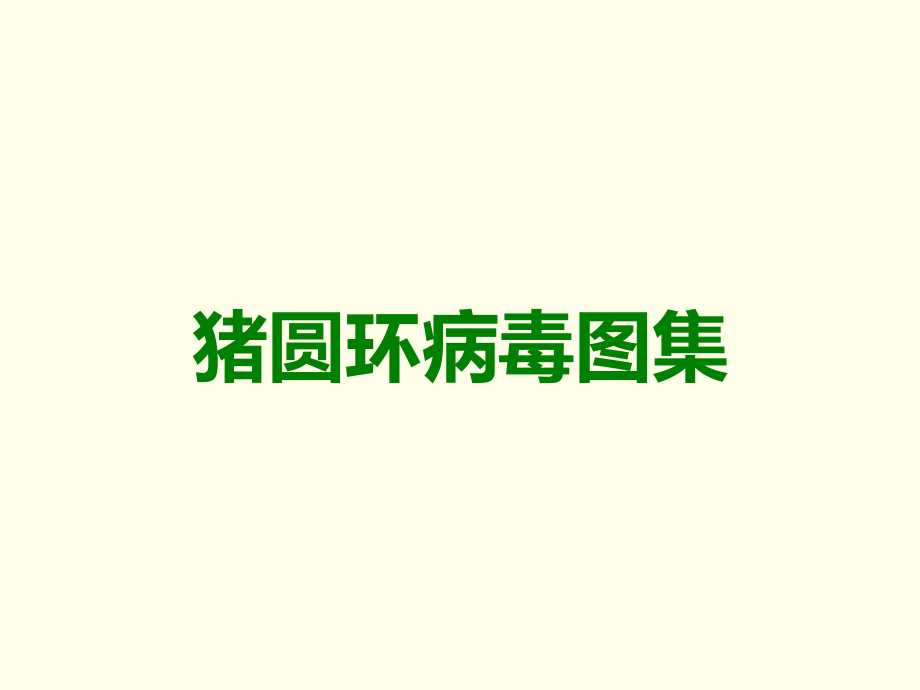 猪圆环病毒图集.ppt_第1页