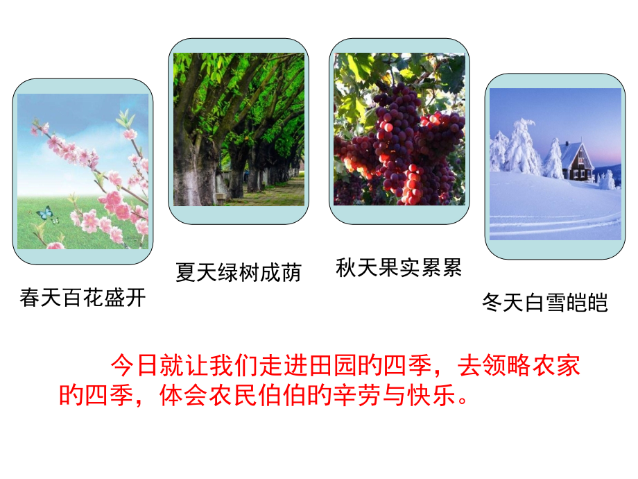 部编教材二上识字4《田家四季歌》.pptx_第2页