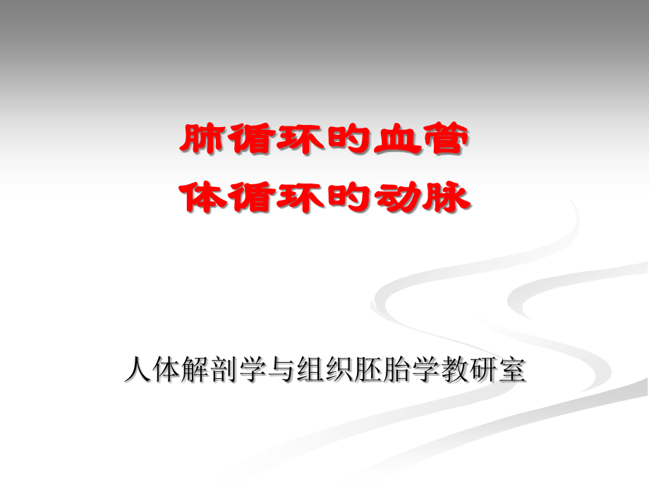 肺循环的血管.pptx_第1页