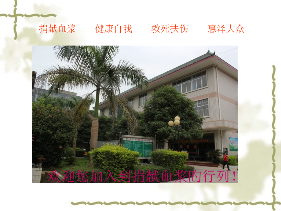 献血浆健康科普知识.ppt_第2页
