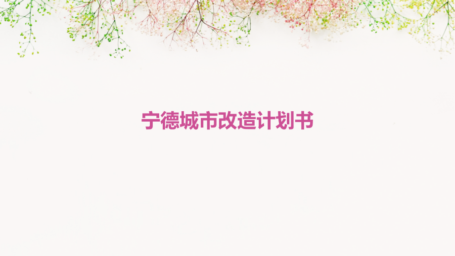 宁德城市改造计划书.pptx_第1页