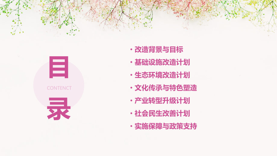 宁德城市改造计划书.pptx_第2页