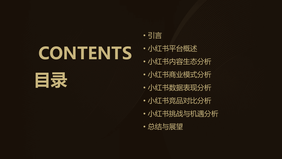 小红书分析报告.pptx_第2页