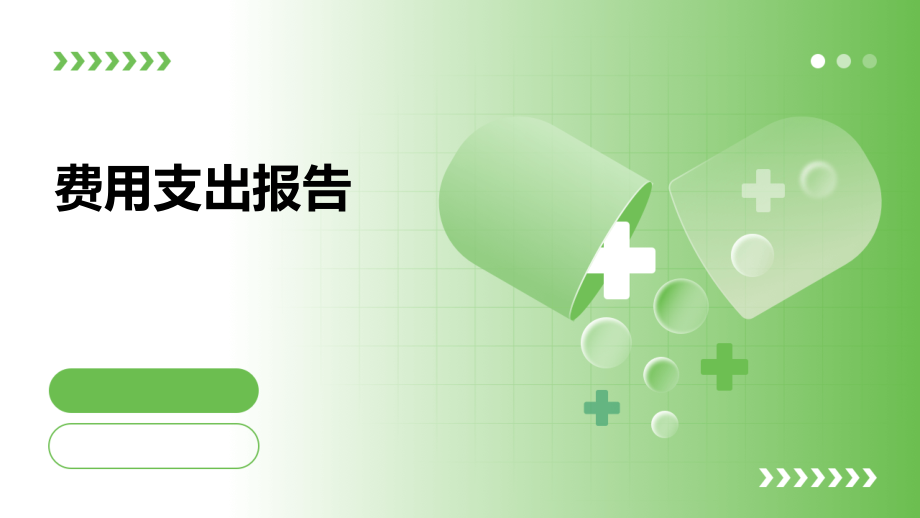 费用支出报告.pptx_第1页