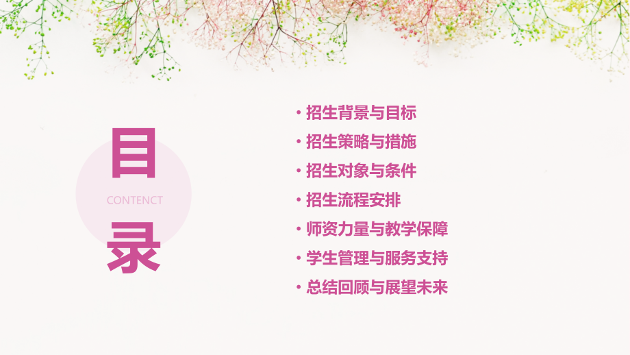 学校招生计划书.pptx_第2页